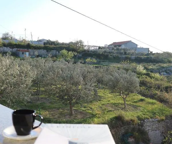 Appartement Evergreen