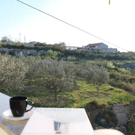 Appartement Evergreen