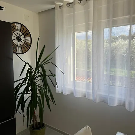 Appartement Evergreen *